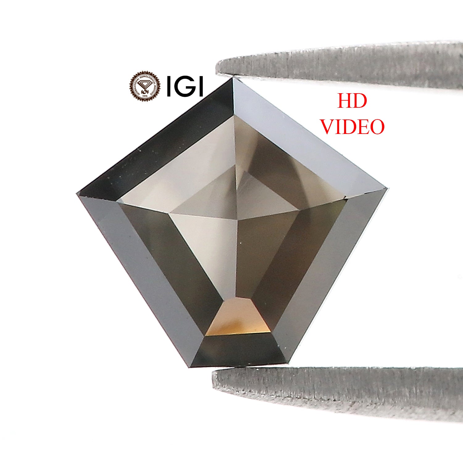 1.74 Ct IGI CERTIFIED Natural Loose Pentagon Cut Diamond Black Color Diamond 8.05 MM Natural Loose Diamond Pentagon Shape Diamond QL9381