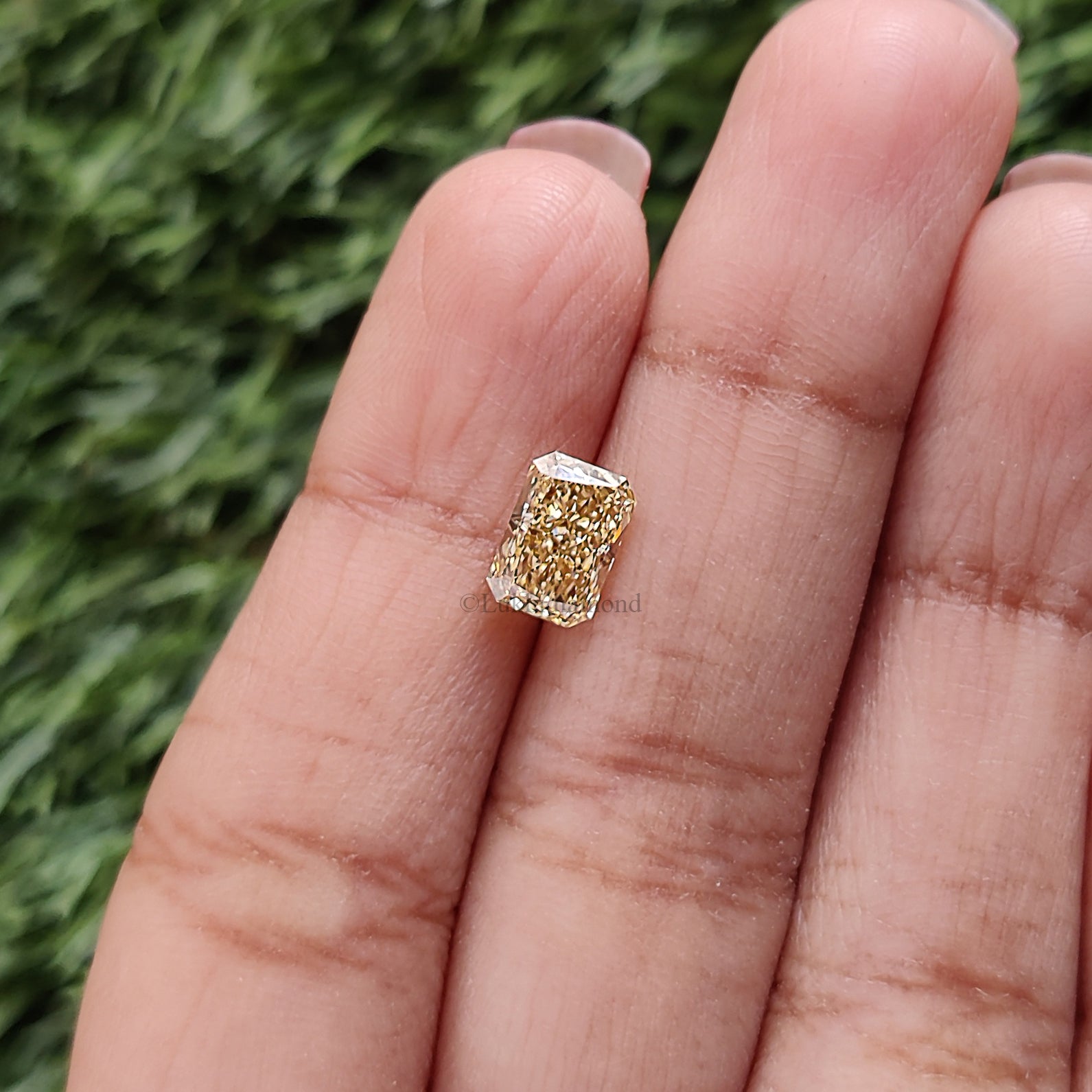 1.54 CT IGI Certified Radiant Brilliant Cut Fancy Intense Yellow Color VS1 Clarity Diamond Lab Grown CVD Diamond Lab Created Diamond L3453