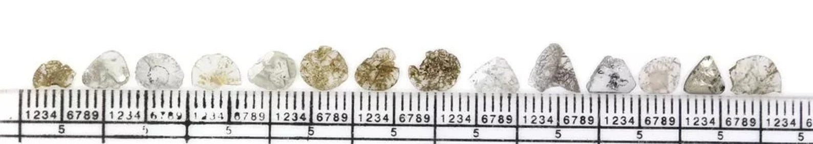 2.08 CT Natural Loose Slice Shape Diamond Salt And Pepper Slice Diamond 5.00 MM Natural Diamond Black Grey Color Slice Cut Diamond NQ1738