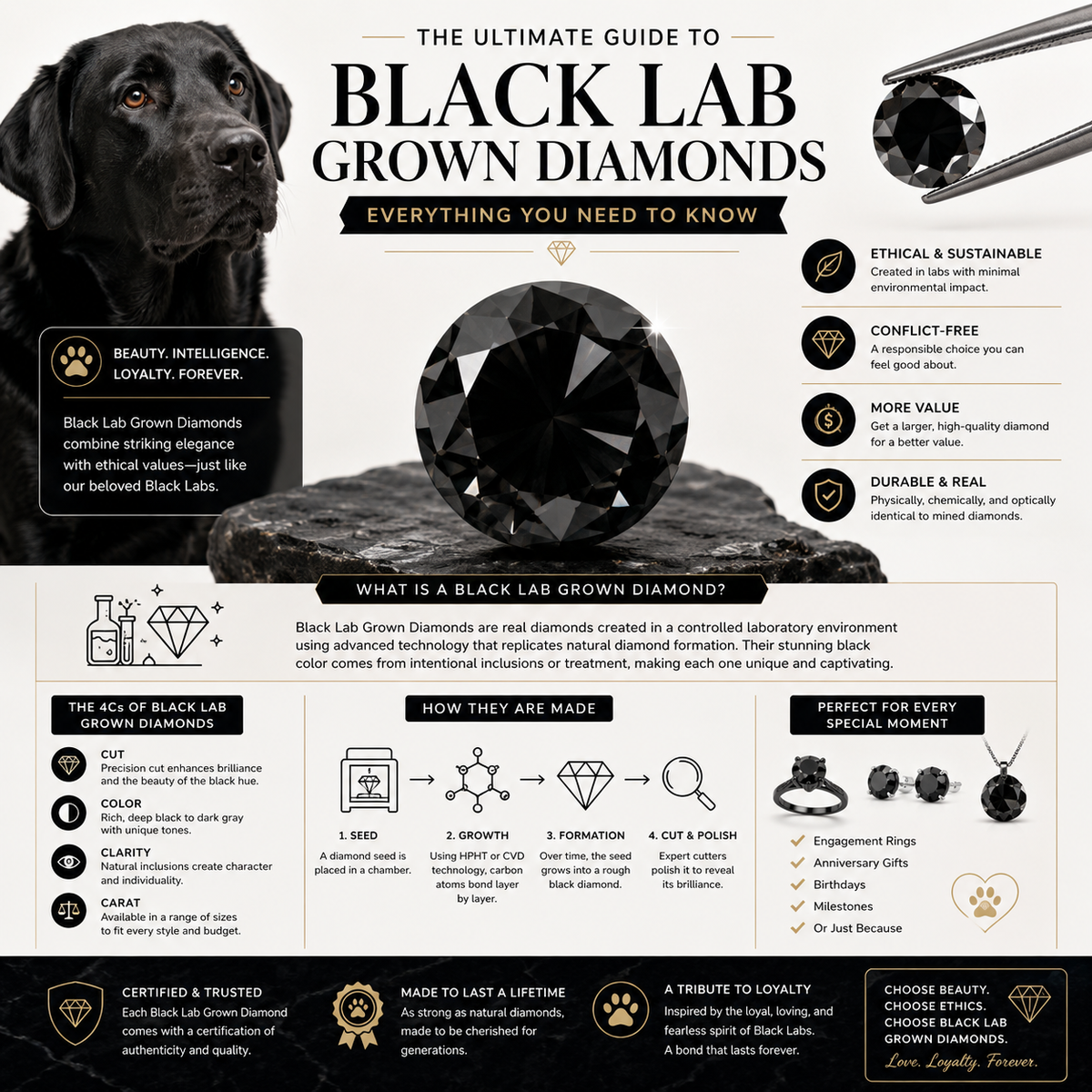 The Ultimate Guide to Black Lab Grown Diamonds: Everything You Need to Know