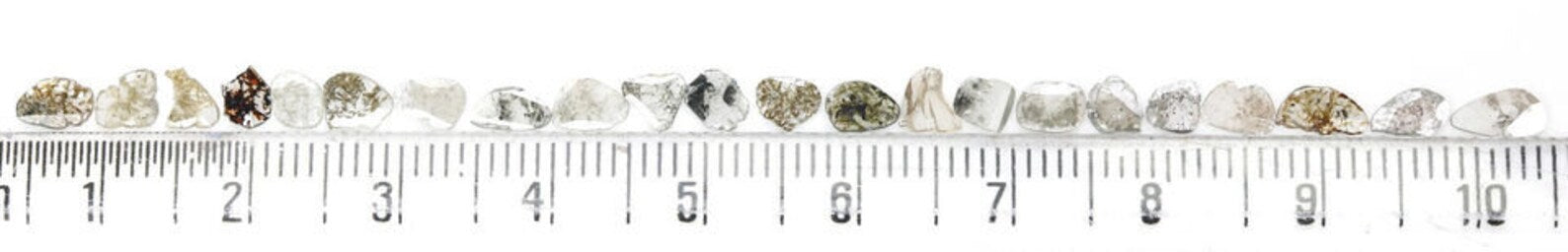 2.02 CT Natural Loose Slice Cut Diamond Salt And Pepper Slice Diamond 4.15 MM Natural Black Grey Color Diamond Slice Rose Cut Diamond NQ1739