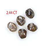 Natural Loose Rough Dark Brown Color Diamond 2.44 CT 4.70 MM Rough Shape Rose Cut Diamond KDL7971