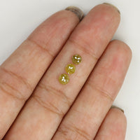 Natural Loose Rose Cut Yellow Green Color Diamond 0.98 CT 3.90 MM Rose Cut Shape Diamond KR1227