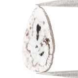 Natural Loose Slice Salt And Pepper Diamond Black Grey Color 0.91 CT 12.25 MM Slice Shape Rose Cut Diamond L9704