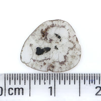 Natural Loose Slice Salt And Pepper Diamond Black Grey Color 0.91 CT 12.25 MM Slice Shape Rose Cut Diamond L9704