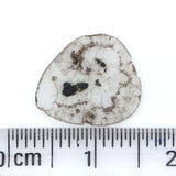 Natural Loose Slice Salt And Pepper Diamond Black Grey Color 0.91 CT 12.25 MM Slice Shape Rose Cut Diamond L9704