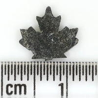 0.73 CT Natural Loose Diamond, Canadian Maple Leaf Diamond, Black Diamond, Antique Diamond, Real Diamond, Polished Diamond, KDL833