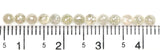 Natural Loose Rose Cut Diamond Grey Color 1.48 CT 2.70 MM Round Rose Cut Shape Diamond KR185