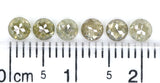 Natural Loose Rose Cut Grey Green Diamond Color 1.22 CT 3.30 MM Round Rose Cut Shape Diamond L9692