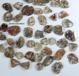 Natural Loose Diamond Rose Cut Faceted Polki Slice Shape Brown Color 4.20 to 8.20 MM 1.00 Ct Q103