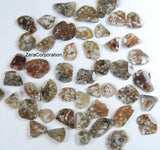 Natural Loose Diamond Rose Cut Faceted Polki Slice Shape Brown Color 4.20 to 8.20 MM 1.00 Ct Q103