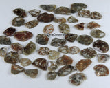 Natural Loose Diamond Rose Cut Faceted Polki Slice Shape Brown Color 4.20 to 8.20 MM 1.00 Ct Q103