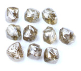 Natural Loose Diamond Rough Brown Color I1 Clarity 5 Pcs Lot Q100